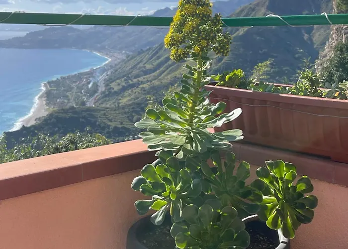 L' Agave Forza d'Agro