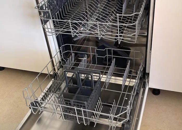 L' Agave Forza d'Agro