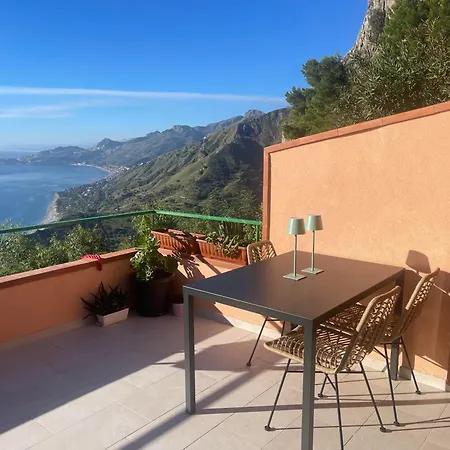 L' Agave Forza dʼAgro