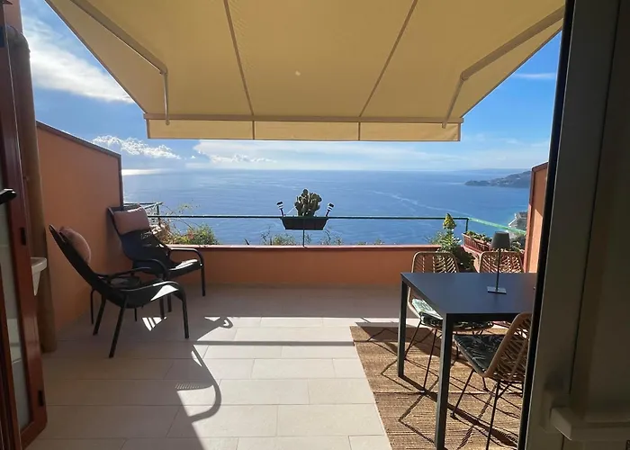 L' Agave * Forza dʼAgro